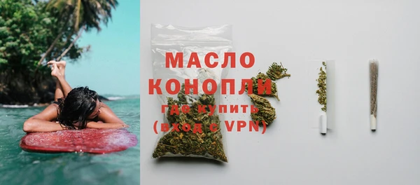 твердый Новозыбков