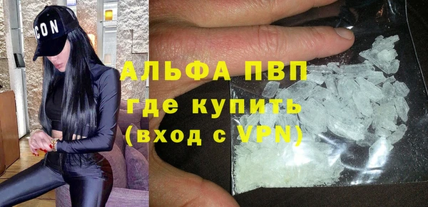 твердый Новозыбков
