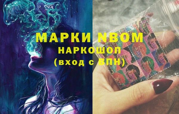 твердый Новозыбков