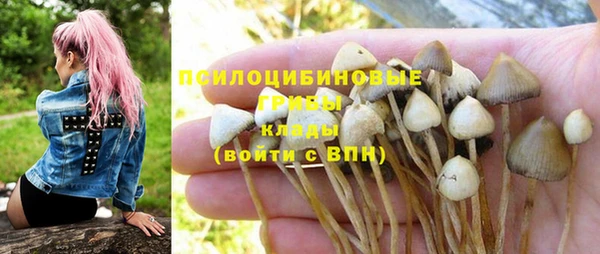 прущая мука Нефтекумск