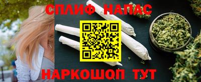 гидра Берёзовский