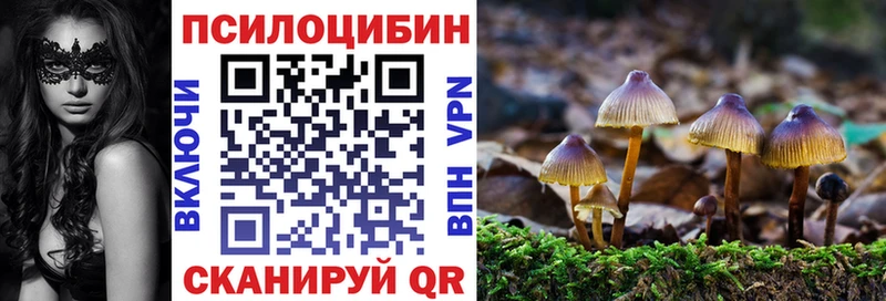 Галлюциногенные грибы Magic Shrooms  Кубинка 