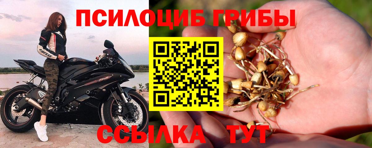 Кубинка  Галлюциногенные грибы MAGIC MUSHROOMS  Вход с VPN 